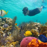 Snorkeling