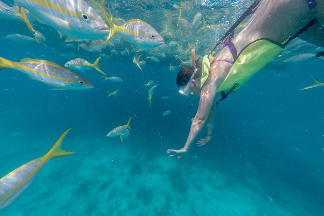 Key West Snorkeling Adventure Image 4