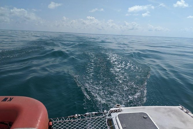 Key West Snorkeling Adventure Image 7