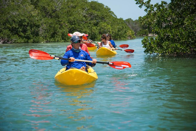 Key West Full-Day Catamaran Eco Tour: Sail, Kayak and Dolphin Watch Image 7