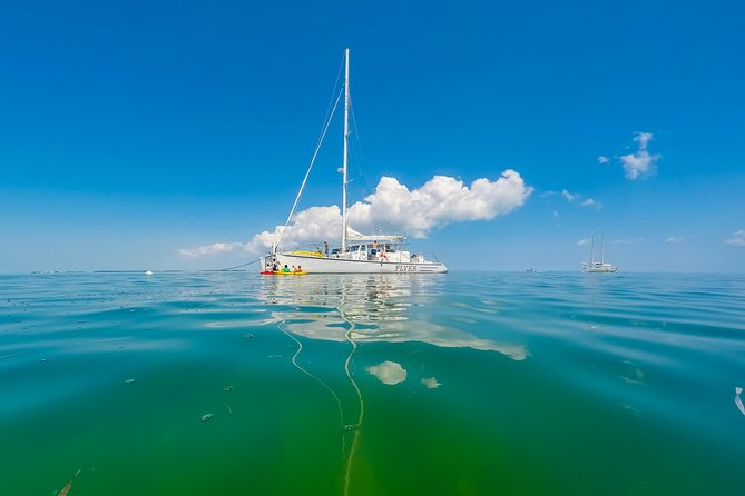 Key West Full-Day Catamaran Eco Tour: Sail, Kayak and Dolphin Watch Image 8