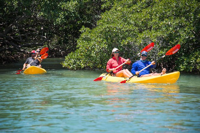 Key West Full-Day Catamaran Eco Tour: Sail, Kayak and Dolphin Watch Image 10