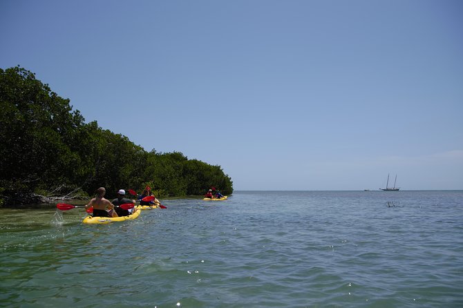 Key West Full-Day Catamaran Eco Tour: Sail, Kayak and Dolphin Watch Image 11