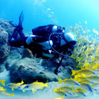 Scuba Diving